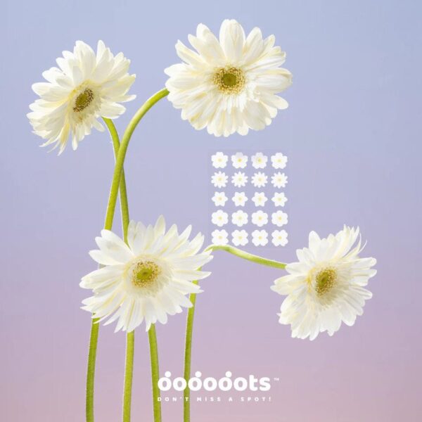 DODODOTS PURE PETALS 20 UND